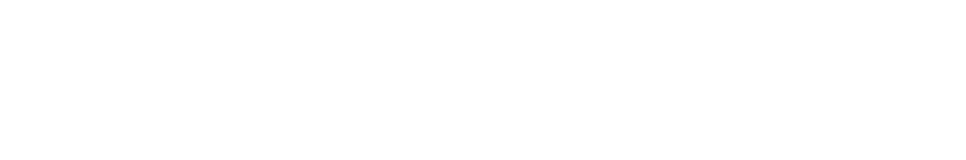 VB Global Network